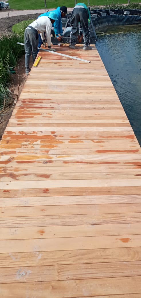 Scenic decked walkway with views