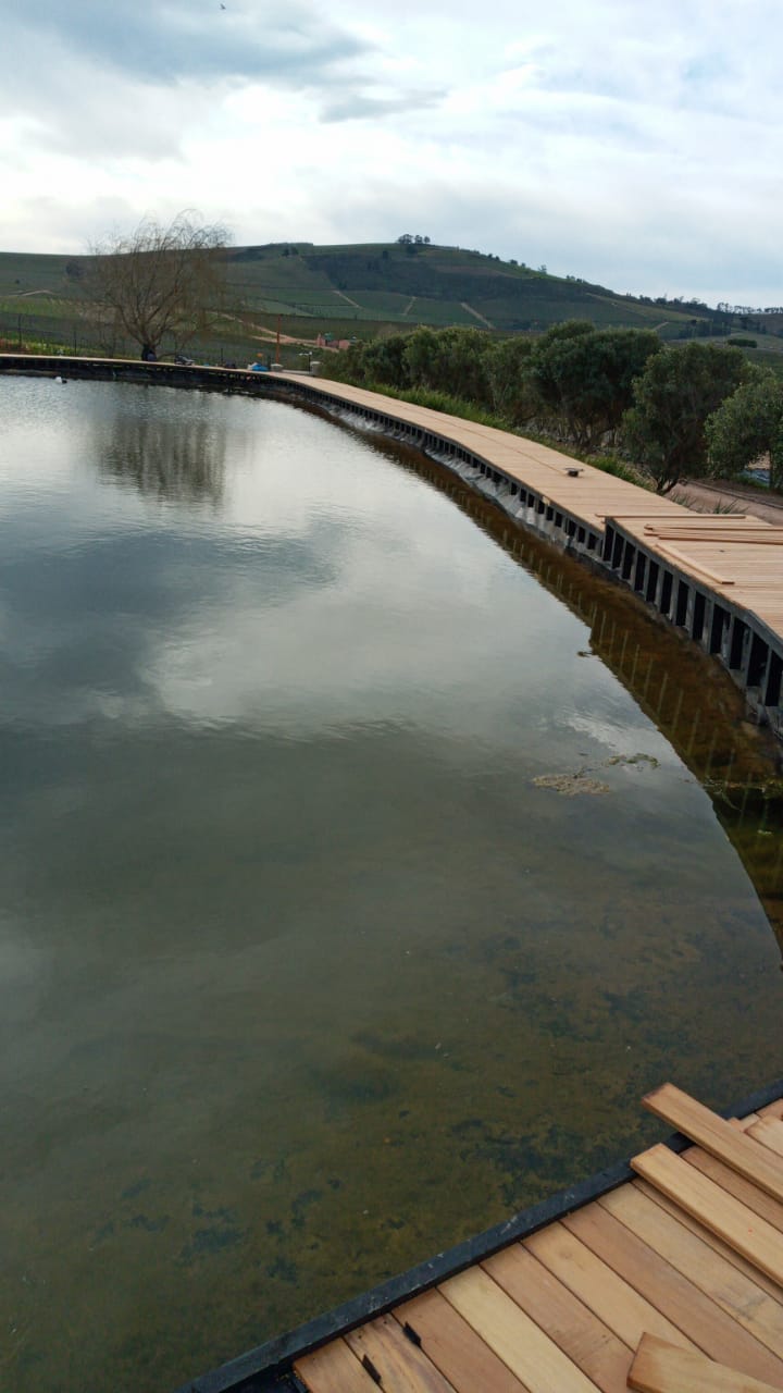 Scenic decked walkway with views